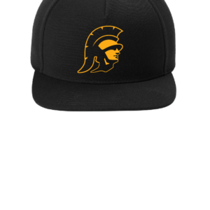 Flat Bill Signature Stitch Cap