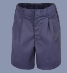 Boys Navy Elastic Back Short